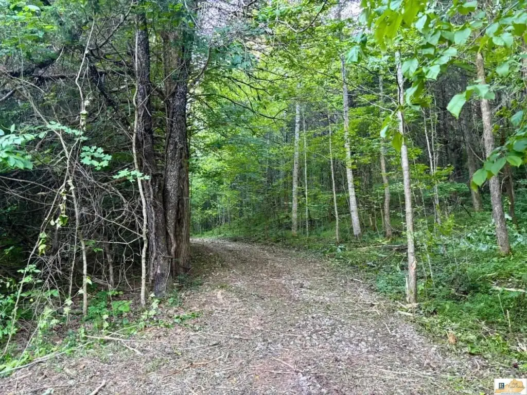 Picture 26