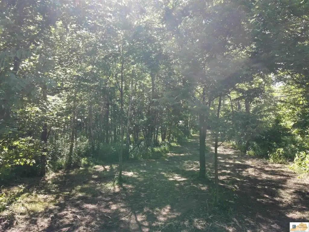 Picture 40
