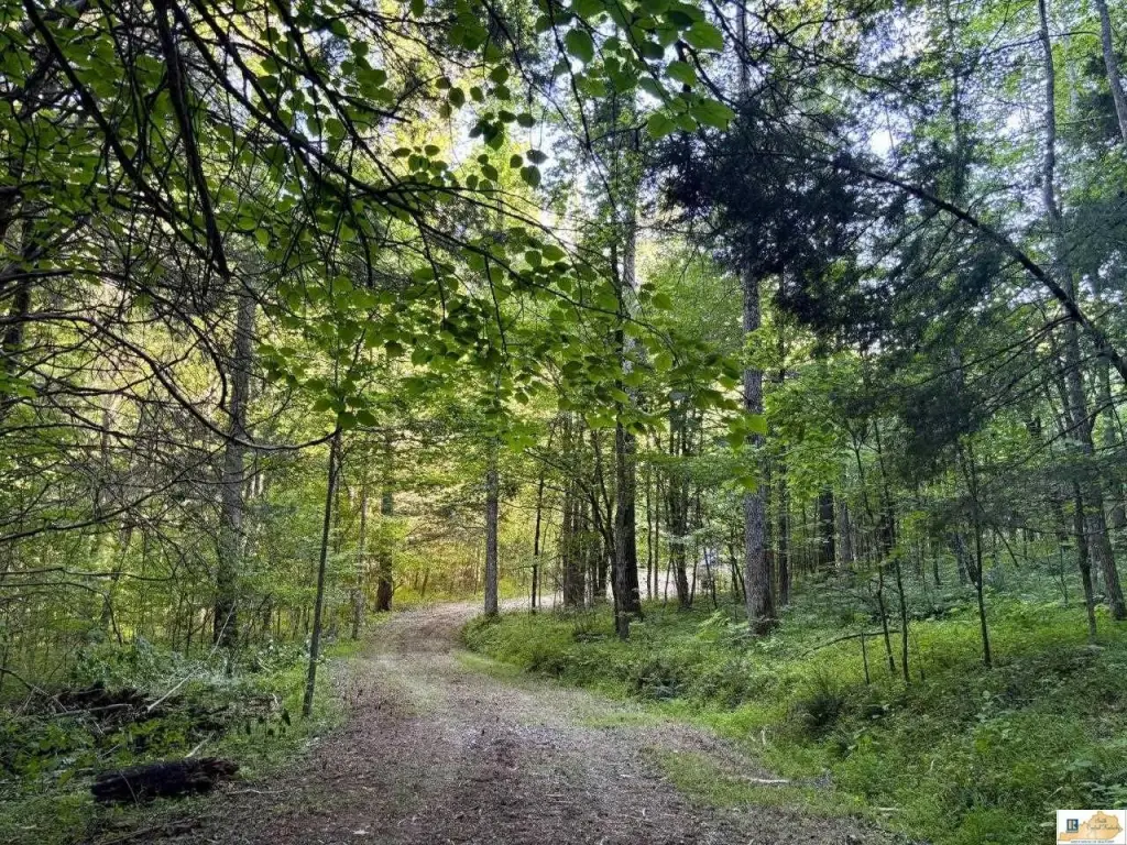 Picture 27