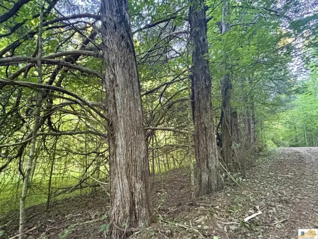 Picture 23