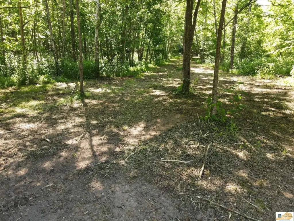 Picture 41