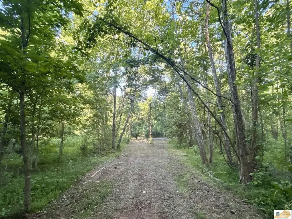 Picture 19