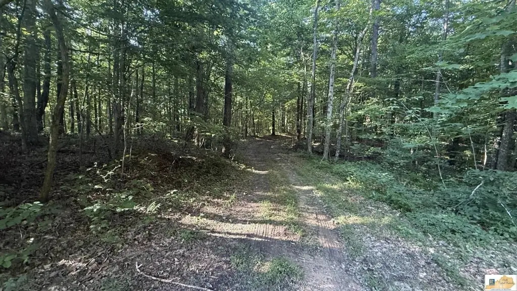 Picture 21
