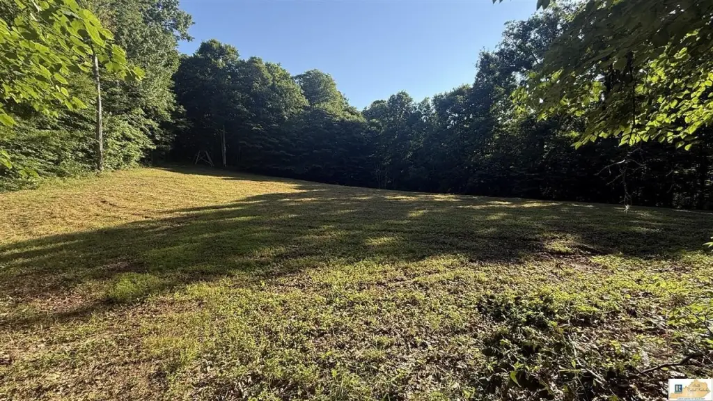 Picture 25