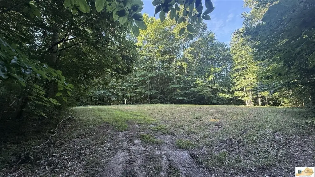 Picture 19