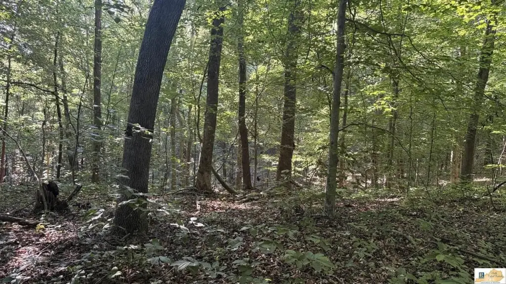 Picture 17