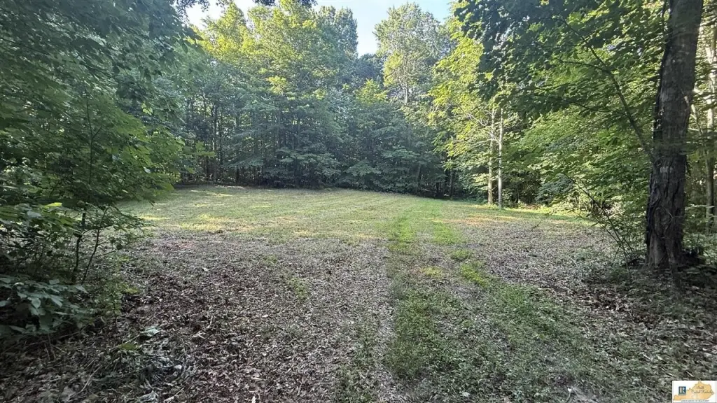 Picture 20