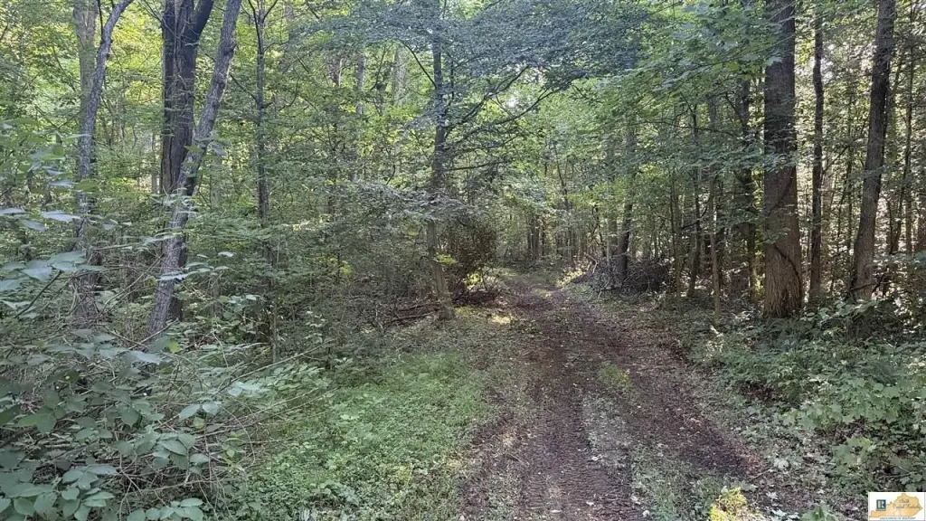 Picture 14
