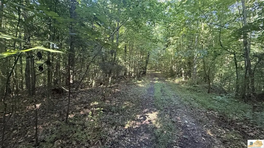 Picture 36