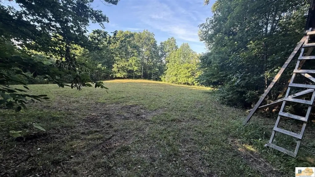 Picture 27