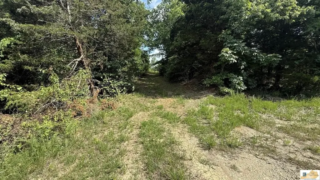 Picture 2