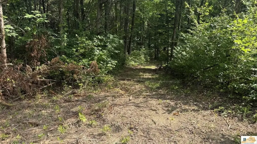 Picture 6