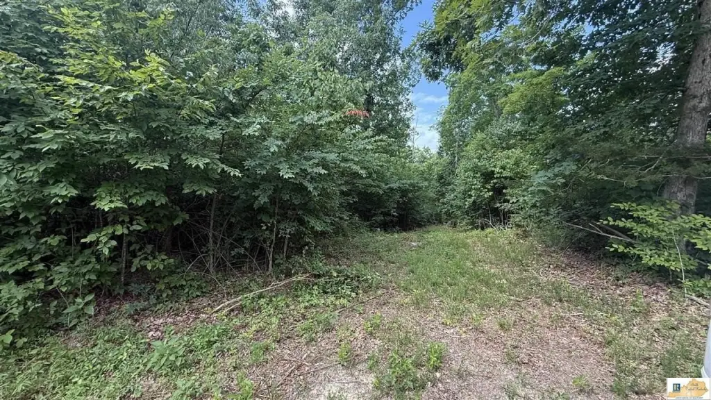 Picture 4