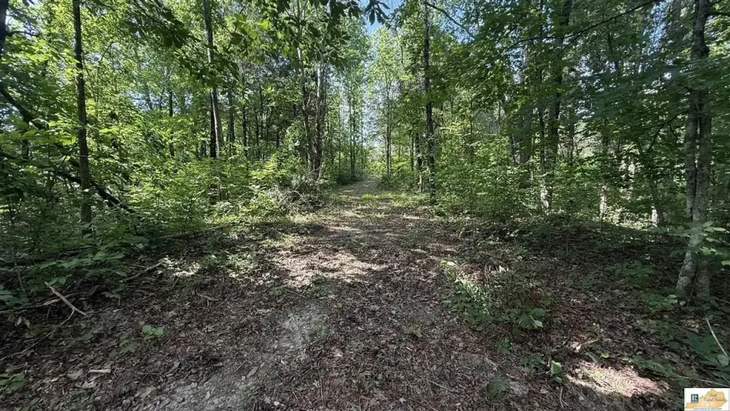 Picture 7
