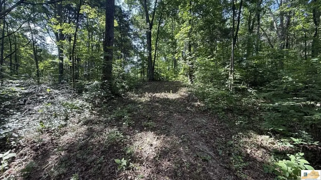 Picture 6