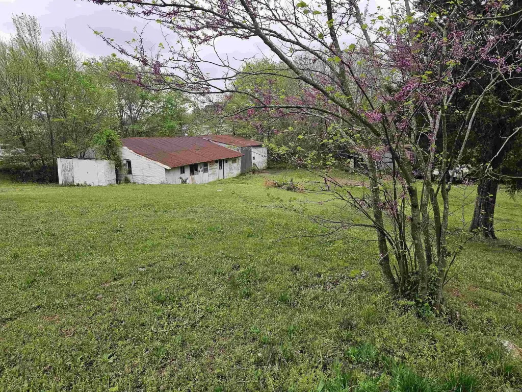 Picture 10