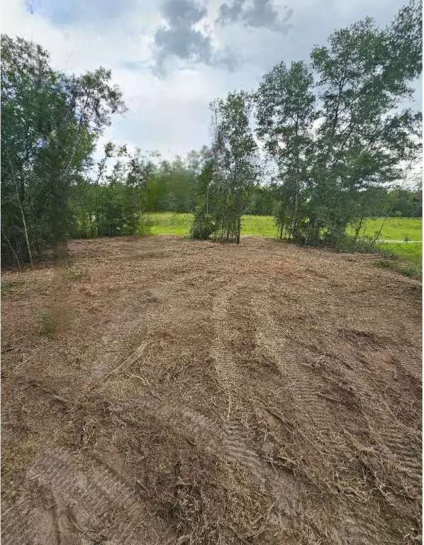 Picture 22