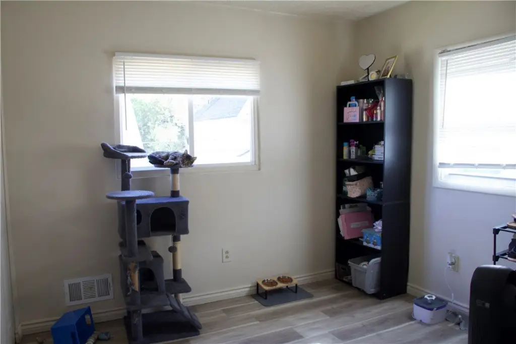 Picture 9