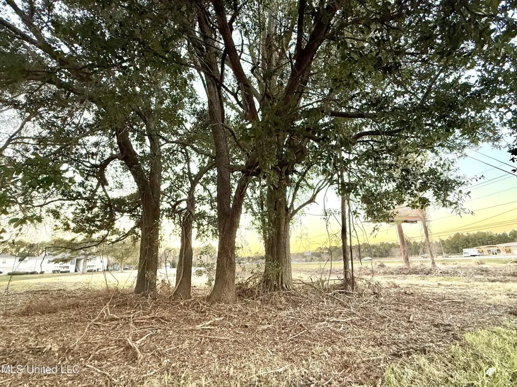 Picture 27