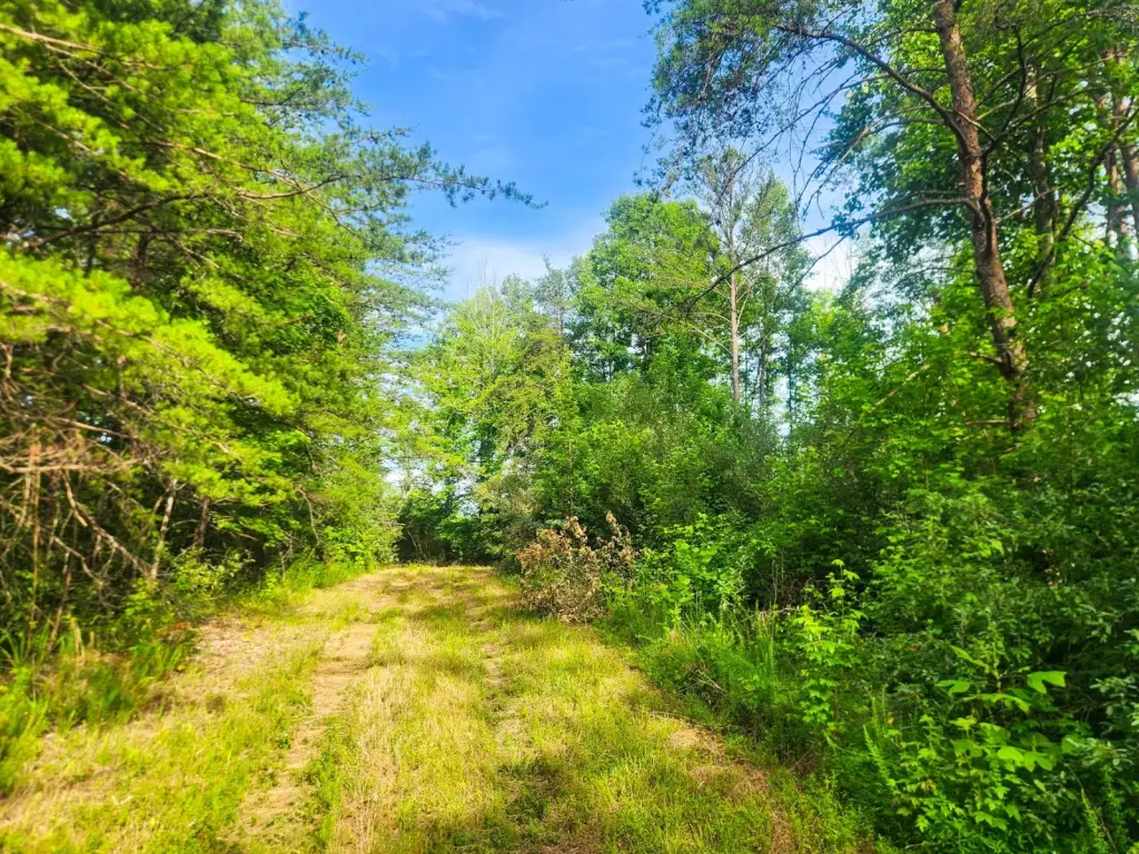 Picture 27