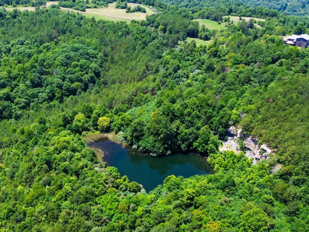 Picture 13