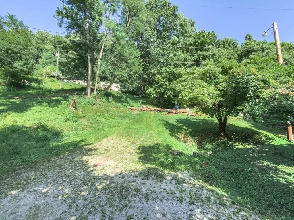 Picture 5