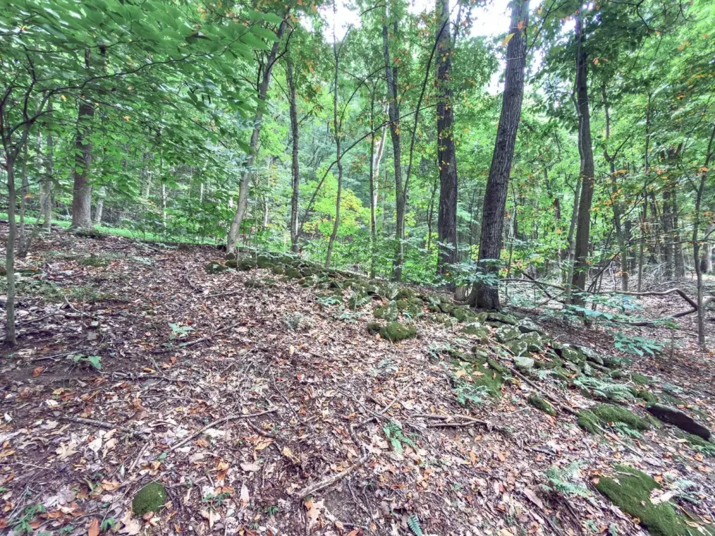 Picture 14