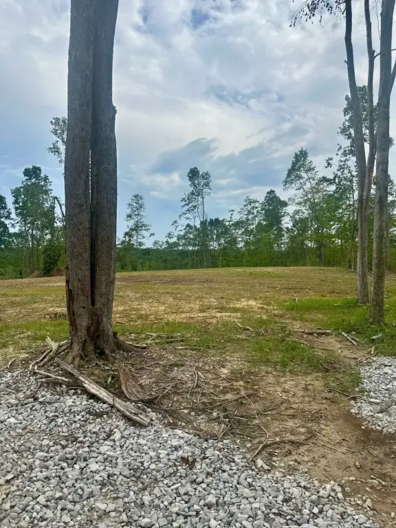 Picture 20