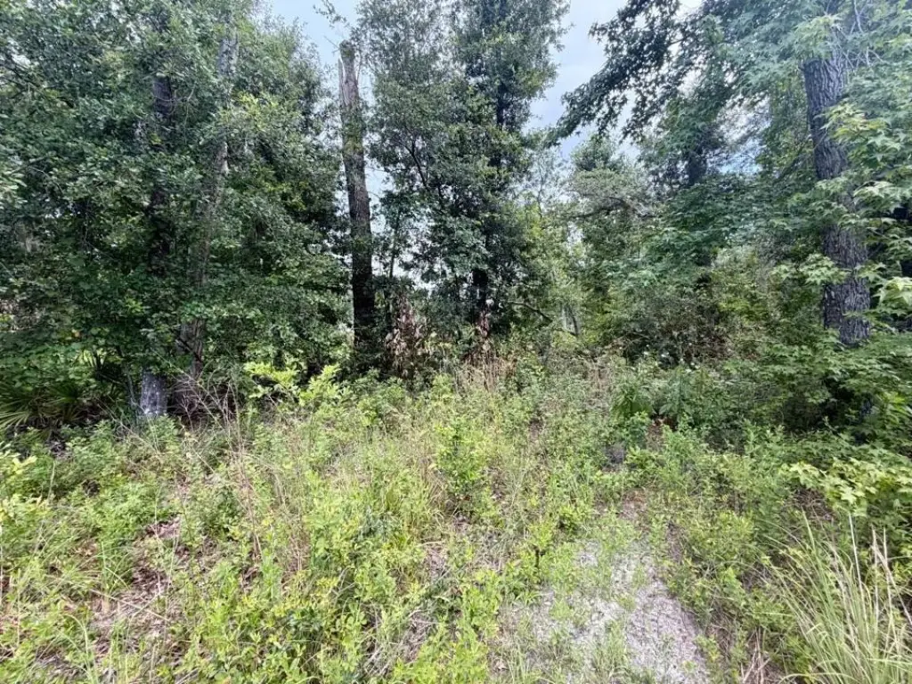 Picture 36