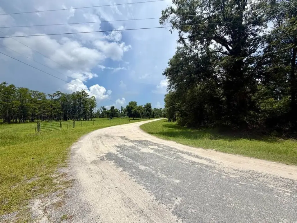 Picture 25
