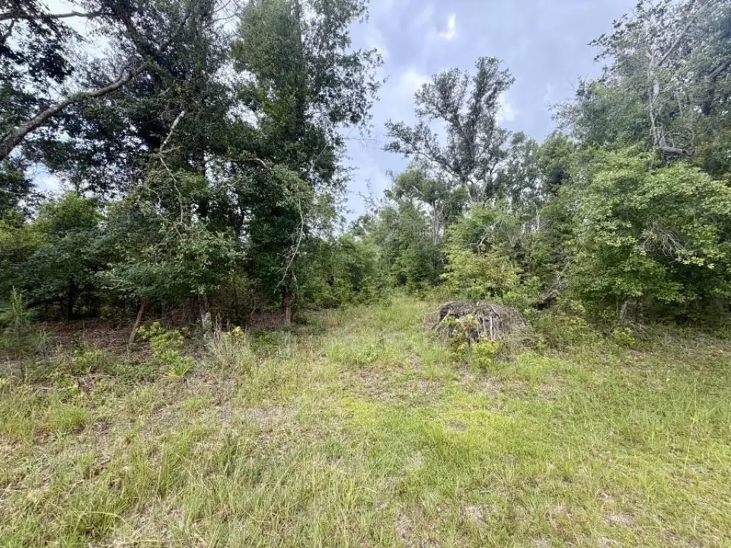 Picture 45