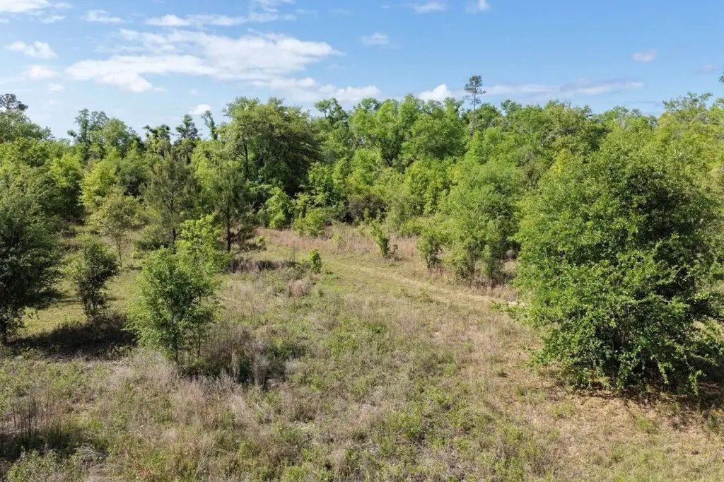 Picture 25