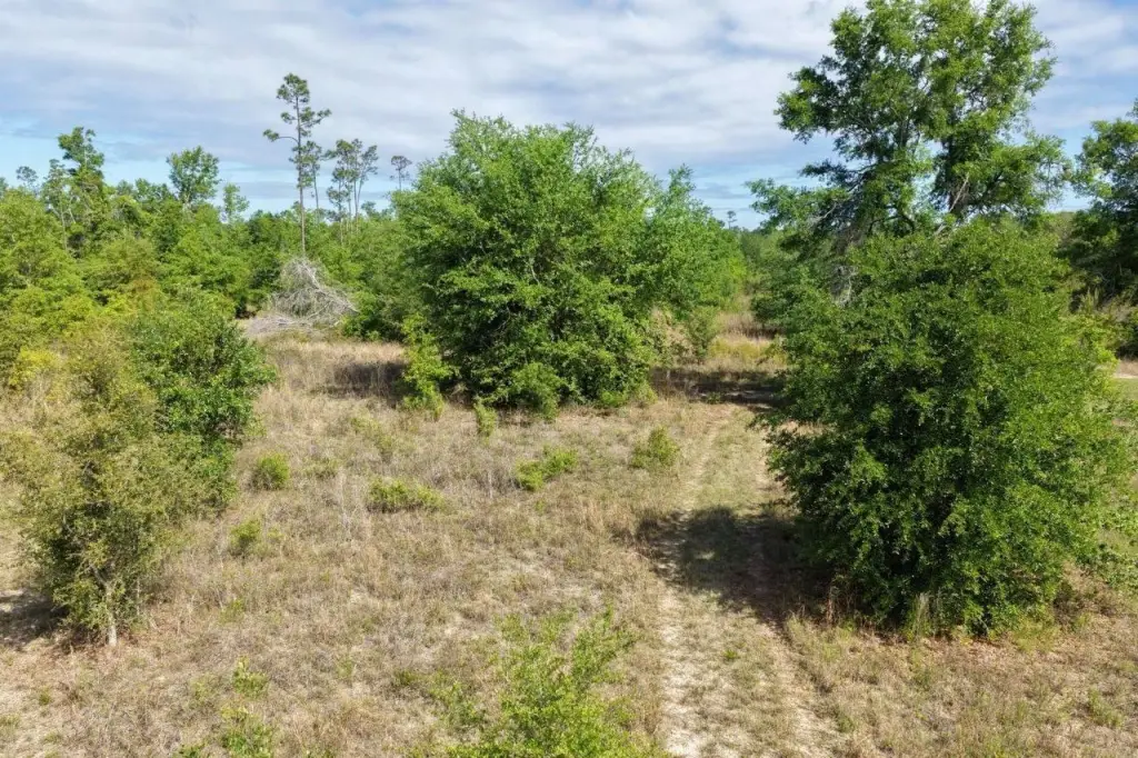 Picture 9