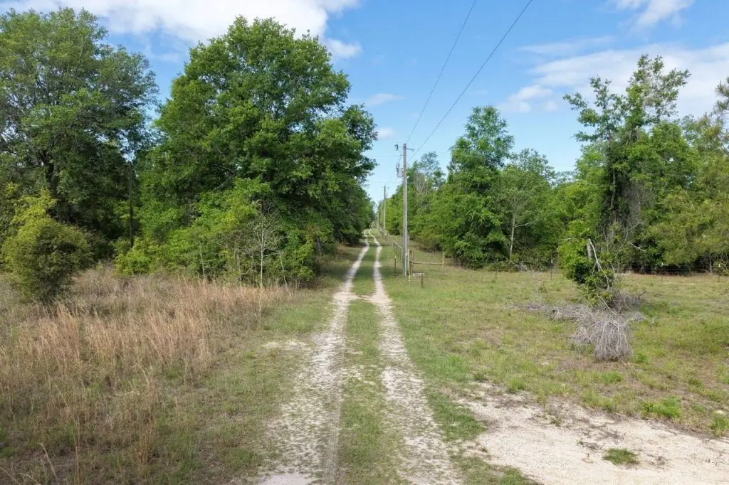 Picture 14