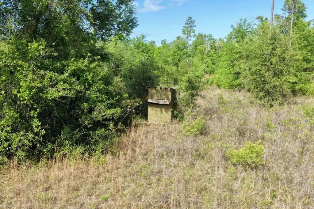 Picture 18