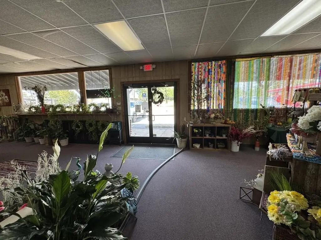 Picture 17
