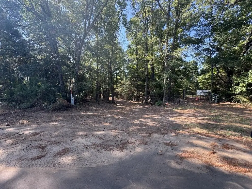 Picture 24