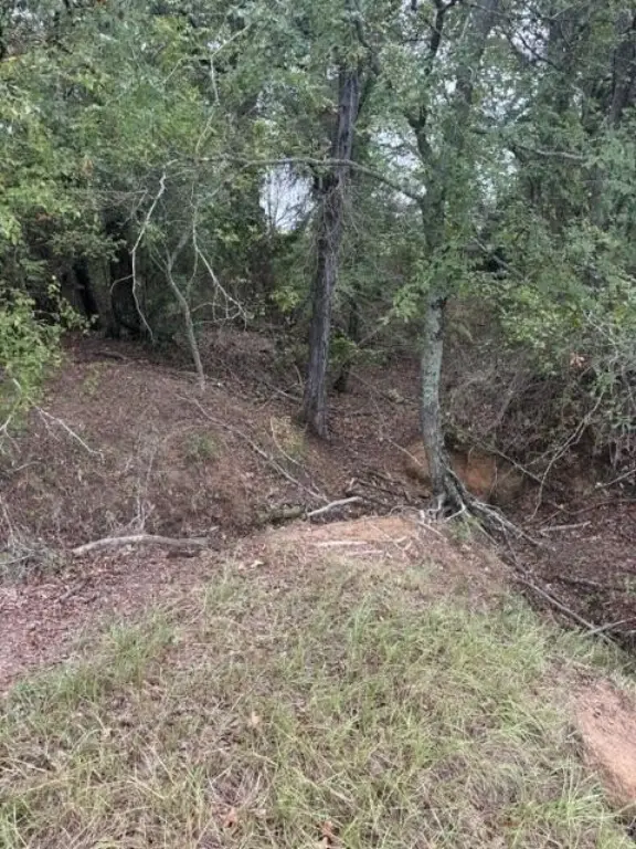 Picture 15