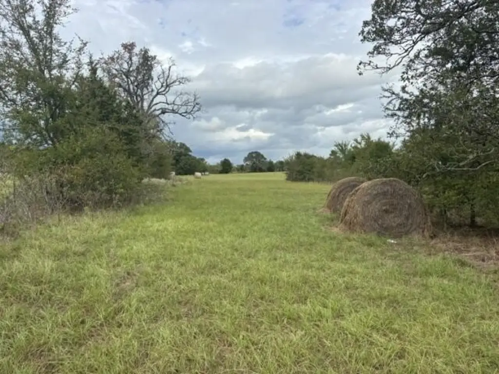 Picture 8