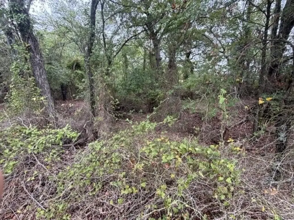 Picture 14