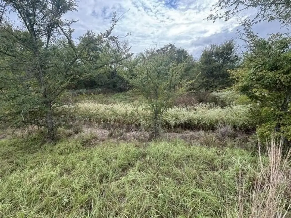 Picture 17