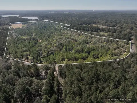 91 Acres Wooded Timberland