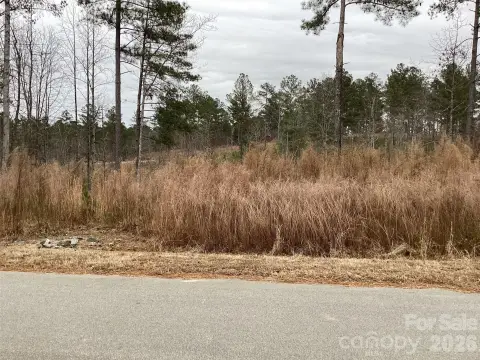 Lake Rhodhiss Homesite Opportunity