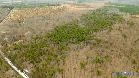 30 Acres Wooded Land, Mineral