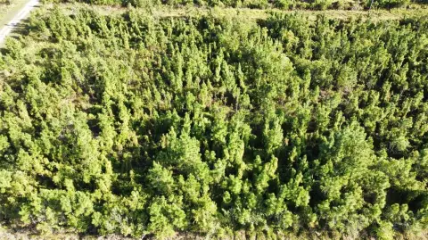 Residential Lot in Indian Lake