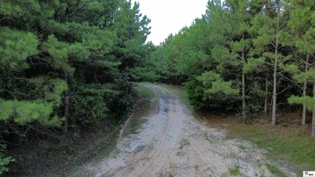 Picture 16