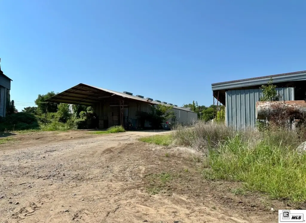Picture 10