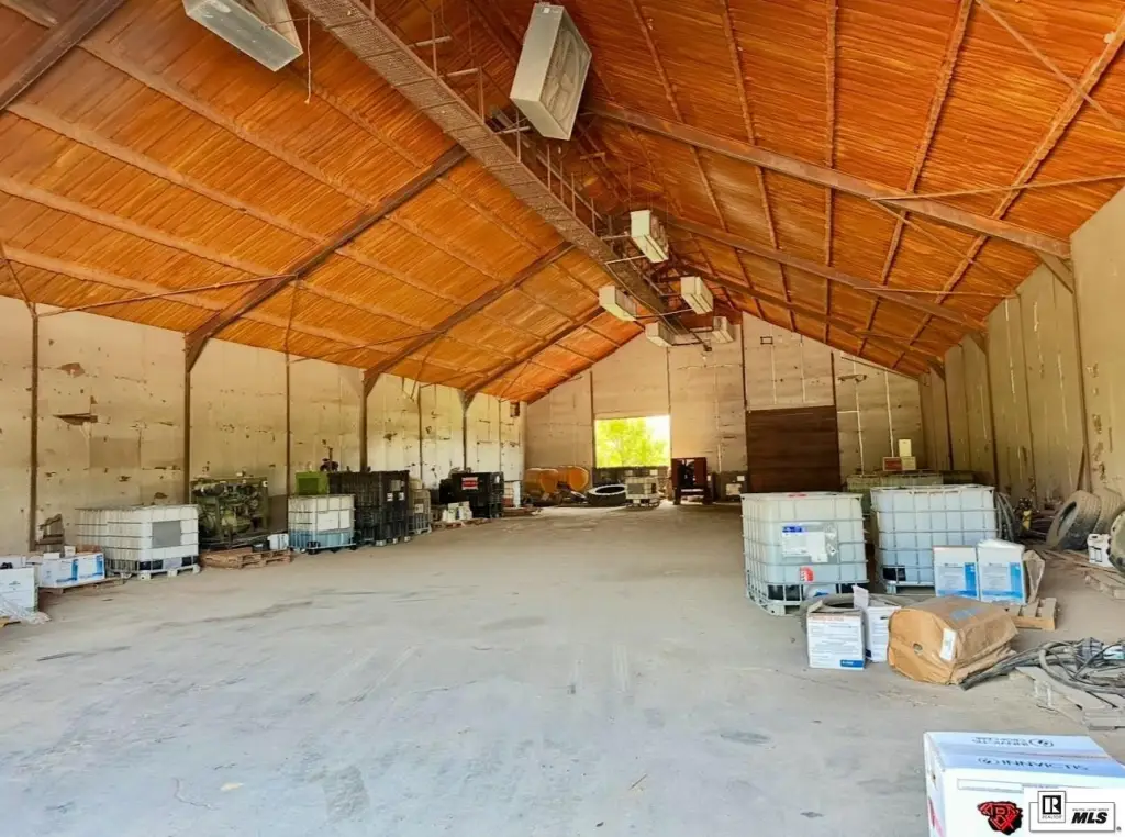 Picture 19