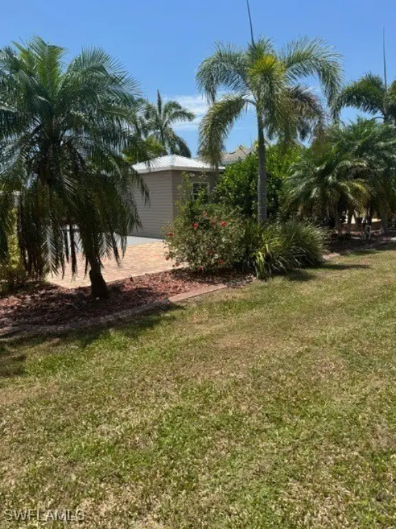 Picture 11
