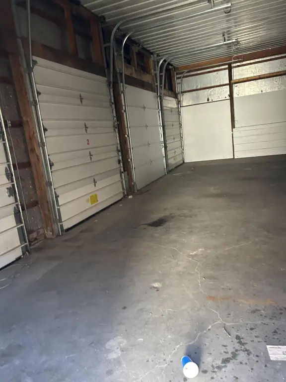Picture 5